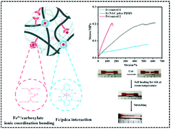 Graphical abstract: A silicone elastomer with optimized and tunable mechanical strength and self-healing ability based on strong and weak coordination bonds