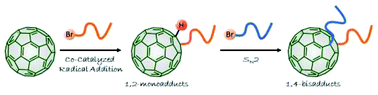 Graphical abstract: Precise synthesis of double-armed polymers with fullerene C60 at the junction for controlled architecture