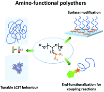 Graphical abstract: Amino-functional polyethers: versatile, stimuli-responsive polymers