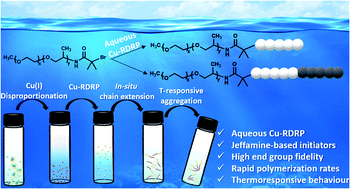 Graphical abstract: Aqueous copper-mediated reversible deactivation radical polymerization (RDRP) utilizing polyetheramine derived initiators