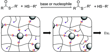 Graphical abstract: Enhancing the toughness of composites via dynamic thiol–thioester exchange (TTE) at the resin–filler interface