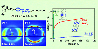 Graphical abstract: Structures and properties of side-chain liquid crystalline polynorbornenes containing an amide group: hydrogen bonding interactions and spacer length effects