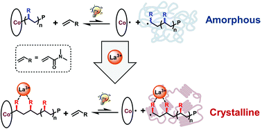 Graphical abstract: Tacticity control approached by visible-light induced organocobalt-mediated radical polymerization: the synthesis of crystalline poly(N,N-dimethylacrylamide) with high isotacticity