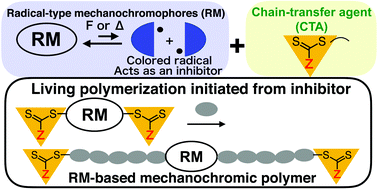 Graphical abstract: Synthesis of well-defined mechanochromic polymers based on a radical-type mechanochromophore by RAFT polymerization: living radical polymerization from a polymerization inhibitor