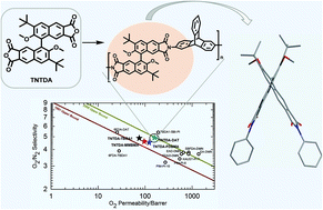 Graphical abstract: Synthesis and gas separation performance of intrinsically microporous polyimides derived from sterically hindered binaphthalenetetracarboxylic dianhydride