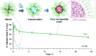 Graphical abstract: Furry nanoparticles: synthesis and characterization of nanoemulsion-mediated core crosslinked nanoparticles and their robust stability in vivo