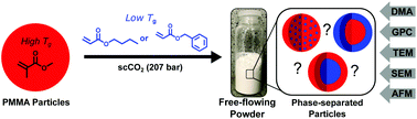 Graphical abstract: Synthesis of two-phase polymer particles in supercritical carbon dioxide