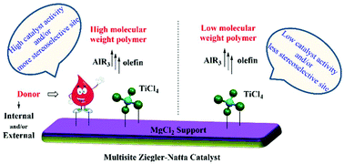 Graphical abstract: Fundamental aspects of heterogeneous Ziegler–Natta olefin polymerization catalysis: an experimental and computational overview