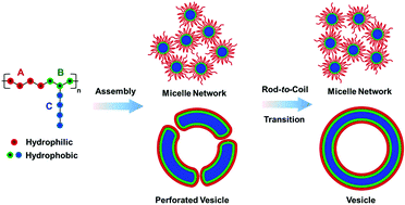 Graphical abstract: Self-assembly of amphiphilic alternating copolymers with stimuli-responsive rigid pendant groups