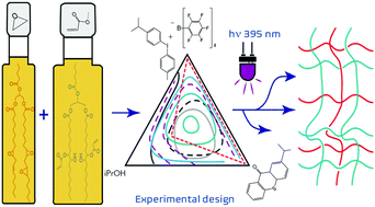 Graphical abstract: Hybrid free-radical and cationic photo-polymerization of bio-based monomers derived from seed oils – control of competitive processes by experimental design