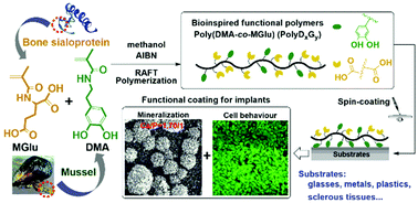 Graphical abstract: Bioinspired by both mussel foot protein and bone sialoprotein: universal adhesive coatings for the promotion of mineralization and osteogenic differentiation