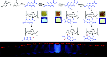 Graphical abstract: A novel coumarin-chitosan fluorescent hydrogel for the selective identification of Fe2+ in aqueous systems