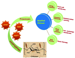 Graphical abstract: Recent advances in RDRP-modified chitosan: a review of its synthesis, properties and applications