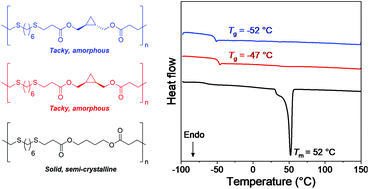 Graphical abstract: Understanding structure–property relationships of main chain cyclopropane in linear polyesters