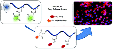 Graphical abstract: A modular and orthogonally reactive platform for fabrication of polymer–drug conjugates for targeted delivery