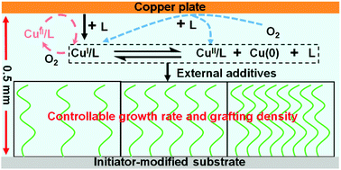 Graphical abstract: Boosting or moderating surface-initiated Cu(0)-mediated controlled radical polymerization with external additives