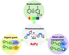 Graphical abstract: Azopyridine: a smart photo- and chemo-responsive substituent for polymers and supramolecular assemblies