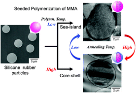 Graphical abstract: Morphology control of silicone/poly(methyl methacrylate) (elastic/glassy) composite particles