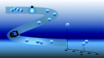 Graphical abstract: Visible-light reversible photopolymerisation: insights via online photoflow – electrospray ionisation – mass spectrometry