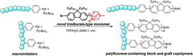 Graphical abstract: Suzuki–Miyaura catalyst-transfer polycondensation of triolborate-type fluorene monomer: toward rapid access to polyfluorene-containing block and graft copolymers from various macroinitiators
