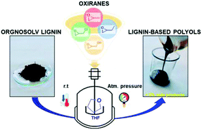 Graphical abstract: A novel and efficient approach to obtain lignin-based polyols with potential industrial applications