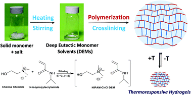 Graphical abstract: Preparation of thermoresponsive hydrogels via polymerizable deep eutectic monomer solvents