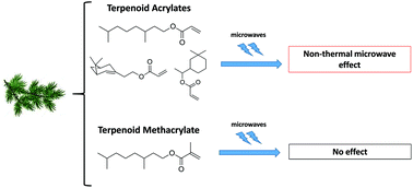 Graphical abstract: Retracted Article: Non-thermal microwave effects in radical polymerization of bio-based terpenoid (meth)acrylates