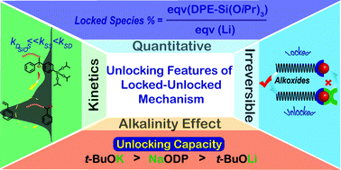Graphical abstract: Unlocking features of locked-unlocked anionic polymerization