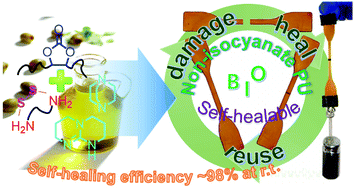 Graphical abstract: Bio-based healable non-isocyanate polyurethanes driven by the cooperation of disulfide and hydrogen bonds