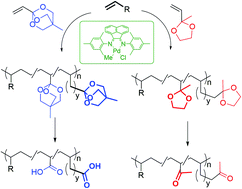 Graphical abstract: Copolymerisation of 1-alkenes with bulky oxygen-containing olefins for dual-stage functionalisation of polyolefins