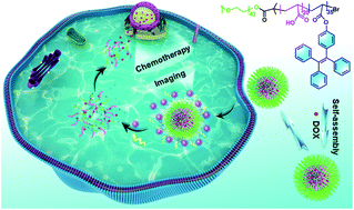 Graphical abstract: Enzyme-responsive polymeric micelles with fluorescence fabricated through aggregation-induced copolymer self-assembly for anticancer drug delivery