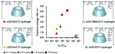 Graphical abstract: Design and mechanical properties of supramolecular polymeric materials based on host–guest interactions: the relation between relaxation time and fracture energy