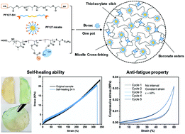 Graphical abstract: Dual-faced borax mediated synthesis of self-healable hydrogels merging dynamic covalent bonding and micellization