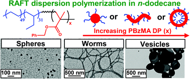 Graphical abstract: RAFT dispersion polymerization of benzyl methacrylate in non-polar media using hydrogenated polybutadiene as a steric stabilizer block