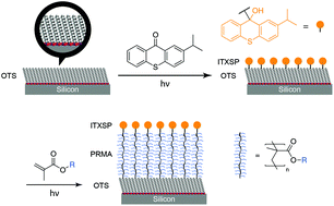 Graphical abstract: Visible light-induced controlled surface grafting polymerization of hydroxyethyl methacrylate from isopropylthioxanthone semipinacol-terminated organic monolayers