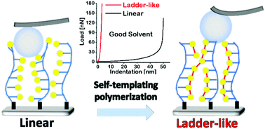 Graphical abstract: Unraveling the nanomechanical properties of surface-grafted conjugated polymer brushes with ladder-like architecture