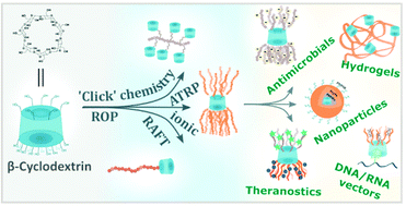 Graphical abstract: Natural cyclodextrins and their derivatives for polymer synthesis