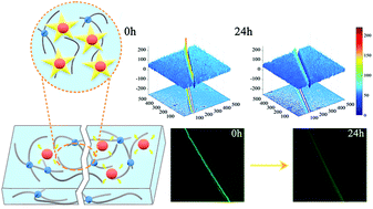 Graphical abstract: Visualization of the self-healing process by directly observing the evolution of fluorescence intensity