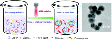 Graphical abstract: The in situ “grafting from” approach for the synthesis of polymer brushes on upconversion nanoparticles via NIR-mediated RAFT polymerization