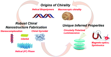 Graphical abstract: Helical polymer self-assembly and chiral nanostructure formation