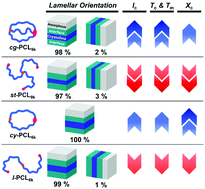 Graphical abstract: Topologically controlled phase transitions and nanoscale film self-assemblies of cage poly(ε-caprolactone) and its counterparts