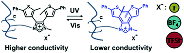 Graphical abstract: The role of anions in light-driven conductivity in diarylethene-containing polymeric ionic liquids