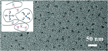 Graphical abstract: Facile intramolecular crosslinking of polymers by metallic coordination in concentrated solutions