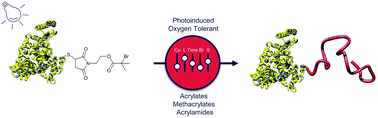Graphical abstract: Oxygen tolerant, photoinduced controlled radical polymerization approach for the synthesis of giant amphiphiles