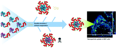 Graphical abstract: Characterization of a library of vitamin A-functionalized polymethacrylate-based nanoparticles for siRNA delivery