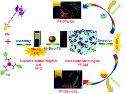 Graphical abstract: Supramolecular AIE polymer-based rare earth metallogels for the selective detection and high efficiency removal of cyanide and perchlorate