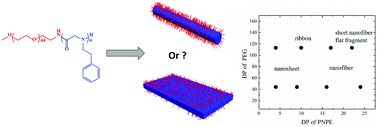 Graphical abstract: Dimension control on self-assembly of a crystalline core-forming polypeptoid block copolymer: 1D nanofibers versus 2D nanosheets