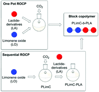 Graphical abstract: Sustainable block copolymers of poly(limonene carbonate)