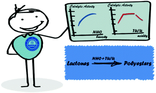 Graphical abstract: Structure and activity relationship studies of N-heterocyclic olefin and thiourea/urea catalytic systems: application in ring-opening polymerization of lactones