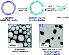 Graphical abstract: Reduction-responsive double hydrophilic block copolymer nano-capsule synthesized via RCMP-PISA